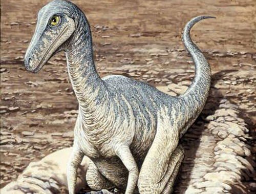 化石研究称极地恐龙“短命”：很难活过20岁_科技