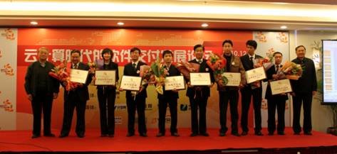 2009年度中国软件生产力风云榜系列