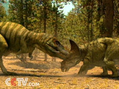 化石研究发现三角龙好勇斗狠头部伤痕密布