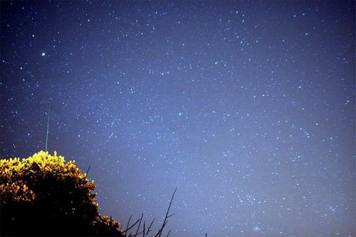 双子座流星雨今晚0时呈现 每小时达120颗