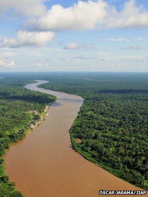 亚马孙地区最大碳存储量位于地下而非森林