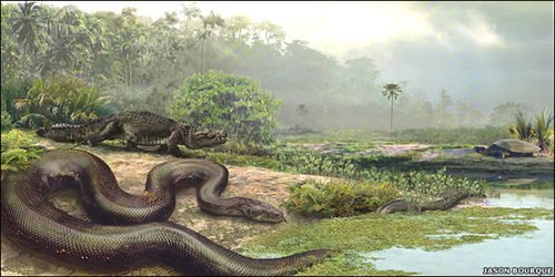 探秘令恐龙恐惧的远古蛇类：地狱巨蛇泰坦蟒