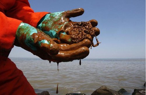 墨西哥湾油污继续蔓延 生态污染令人痛心(图)