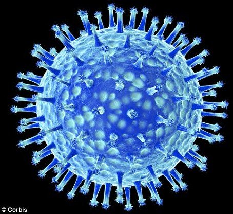 科学家警告H5N1病毒变体或将致一半人类死亡