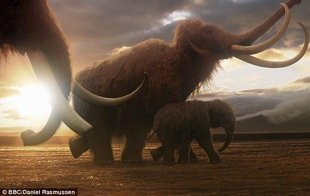 俄罗斯“更新世公园”计划复活猛犸等远古生物