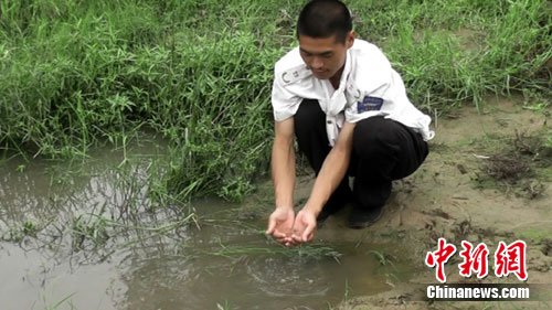 神秘生物现身郑州 像鱼像虾与恐龙同时代(图)