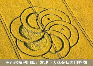 巨大花朵状麦田怪圈