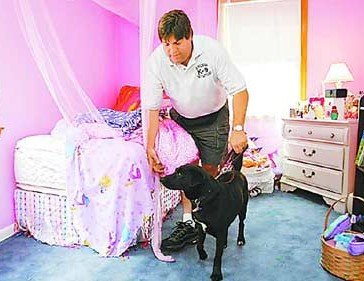 宠物狗对人类又有新贡献 靠嗅觉可查有无癌症