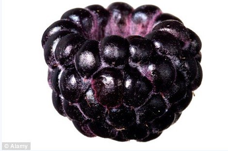 宠物狗对人类又有新贡献 靠嗅觉可查有无癌症