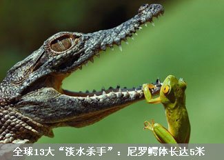全球13大“淡水杀手”