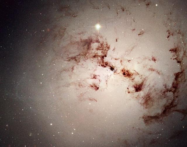 椭圆星系孕育外星人的概率最高