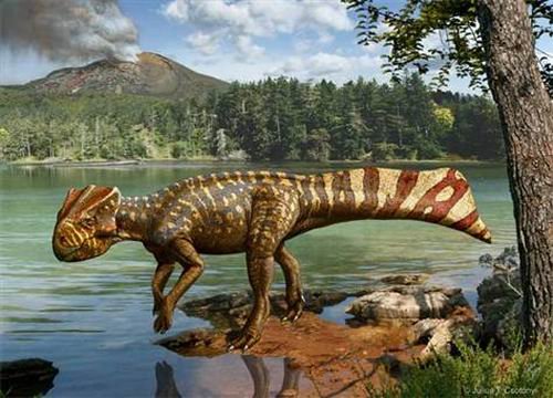 韩国首次发现有角恐龙物种长有扇状短尾 图 科技 腾讯网