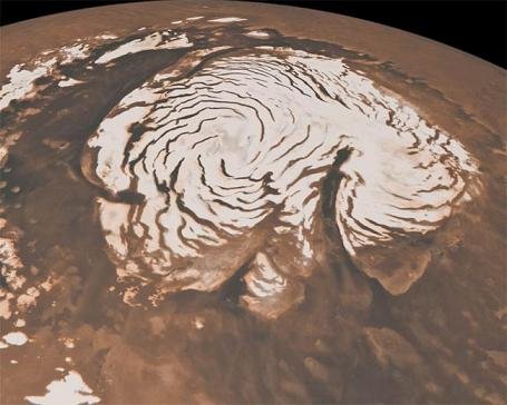 细菌通过DNA修复或复制可幸存于火星环境(图)