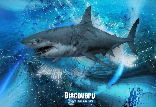 Discovery뻪 ý͸