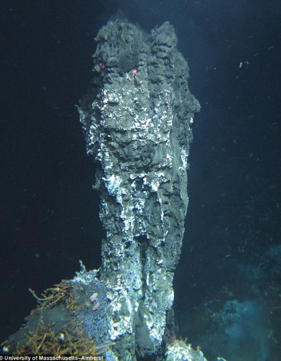 深海发现不可思议生物量》 科学家认为生存在地球岩石层与沉积物中的