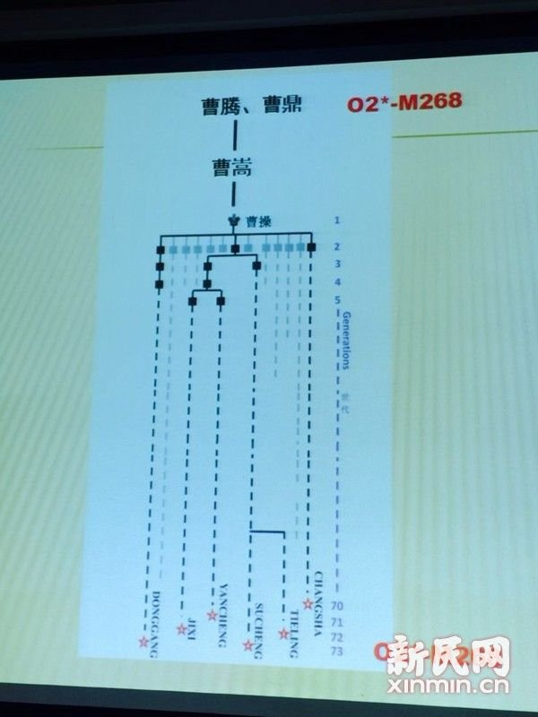 复旦大学公布曹操家族dna