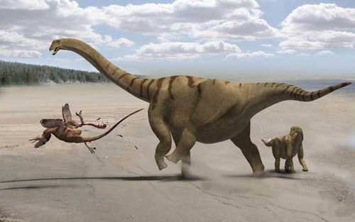 美国犹他州发现肢体粗壮恐龙“壮腿龙”
