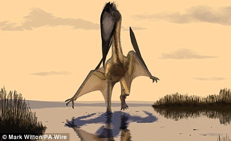 专家通过化石发现翼龙体型庞大且长锋利牙齿_科技