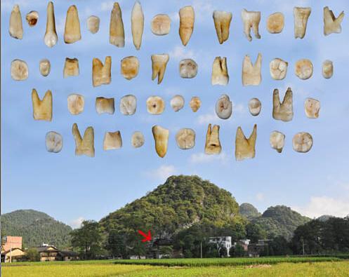 中国科学家发现最早的现代人类化石