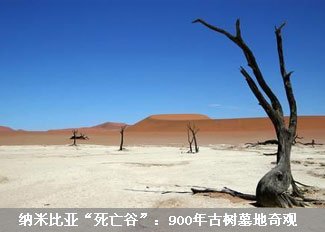 走进纳米比亚“死亡谷”
