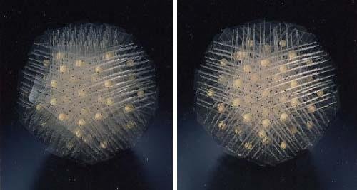 科学家发现：天然“准晶体”可能源于太空