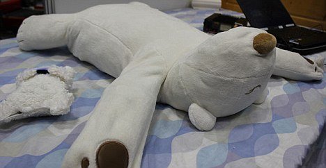 日本最新研制“机器熊” 能有效治疗打鼾现象