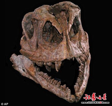 中国发现蜥脚类恐龙祖先 或揭示进化谜团