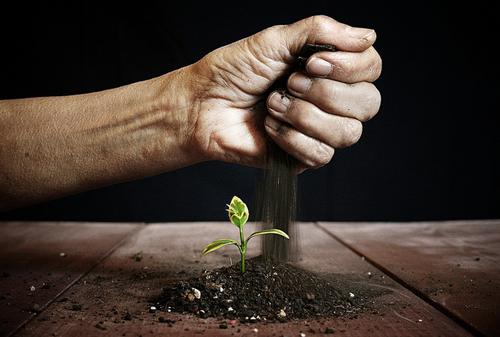 创业者说投资人不干净的钱就该被骗