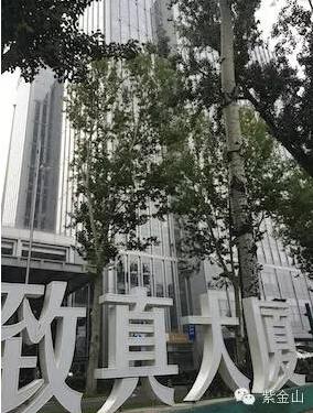 于英涛任紫光全球执行副总裁 或执掌新华三 