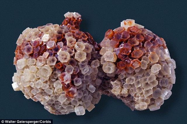 科学家在地下20公里处发现远古生命迹象