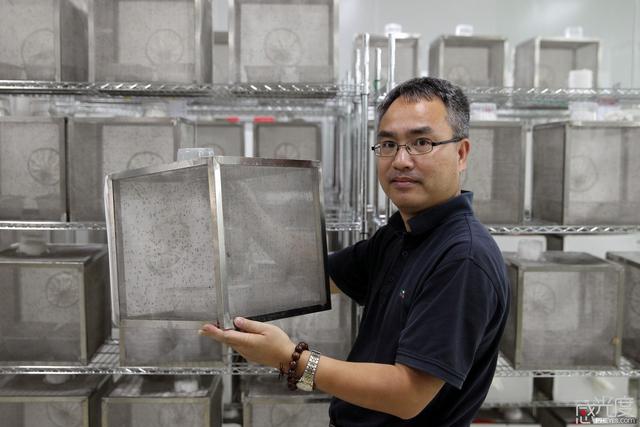 中山大学团队建成世界最大蚊子工厂