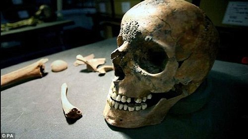 英国发现古罗马角斗士墓地 死者断头或被咬死