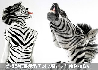 另类对比照:人与动物相似处