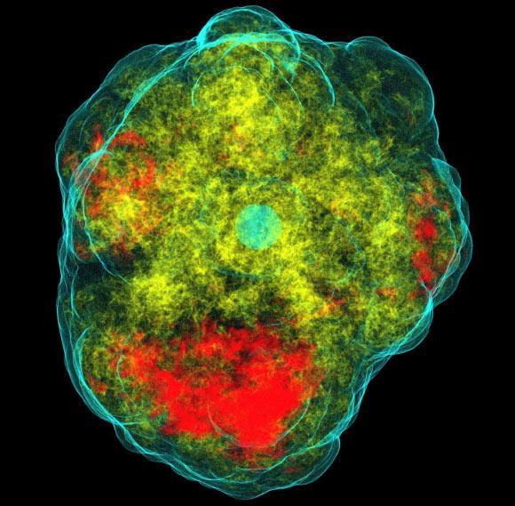 天文学家证实:II型超新星爆炸呈不对称性
