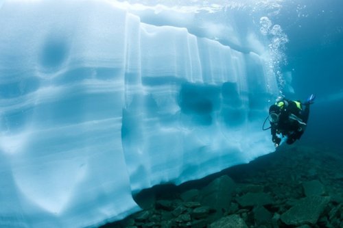 潜水摄影师拍摄到瑞士冰湖下奇特世界(组图)
