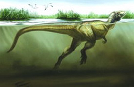 河北发现恐龙“戏水”足迹 找到恐龙戏水铁证_科技