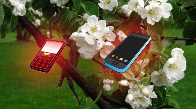 国产手机新品集体发“春”季：4G催压 绕开苹果