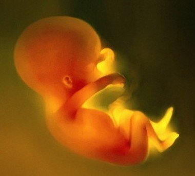 近万试管婴儿胚胎遭父母遗忘 医院难定弃留