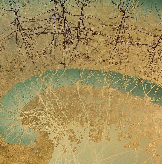 博士生创作人类大脑神经元细胞水墨画