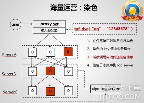 染色机制运行图