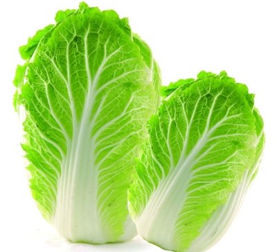 2025年11月8日全国首要批发商业商场大白菜价格行情