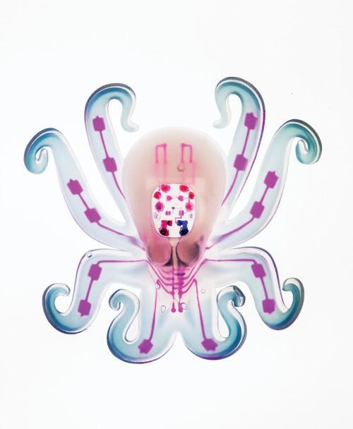 ׸ȫoctobotԶƶ