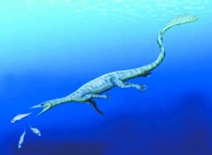 美国发现罕见史前海龙化石 2亿年前灭亡_科技