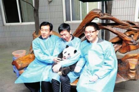 “熊猫烧香”制作者李俊成都认养大熊猫