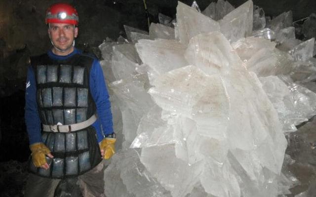 科学家唤醒在晶体中沉睡数万年的古怪生物体