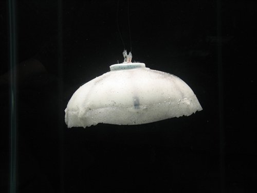 科学家最新研制仿生机器水母 在水中自如游动