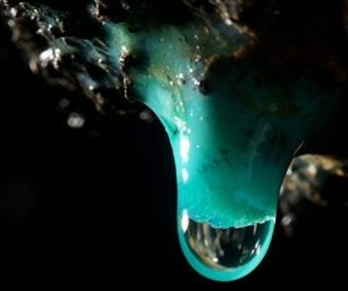 40亿年前原始氨基酸或参与最初地球生命代谢