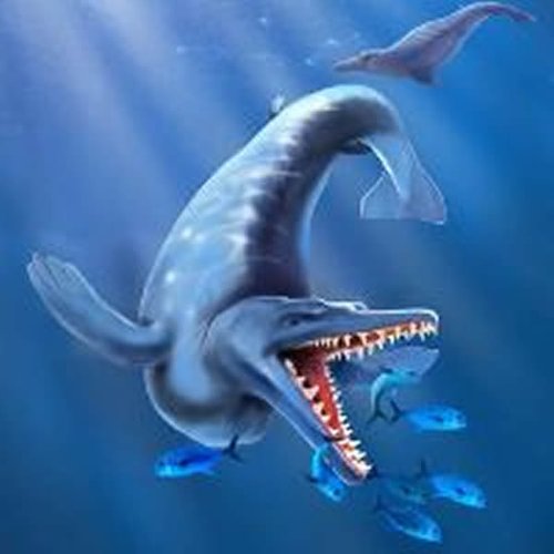 在南极新发现化石显示鲸鱼进化速度极快_科技