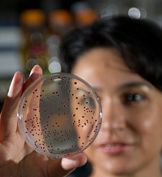 侏罗纪公园培养皿：科学家复活5亿年前细菌