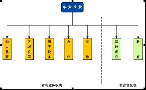 华大基因冲刺创业板 拟募集资金17.32亿元